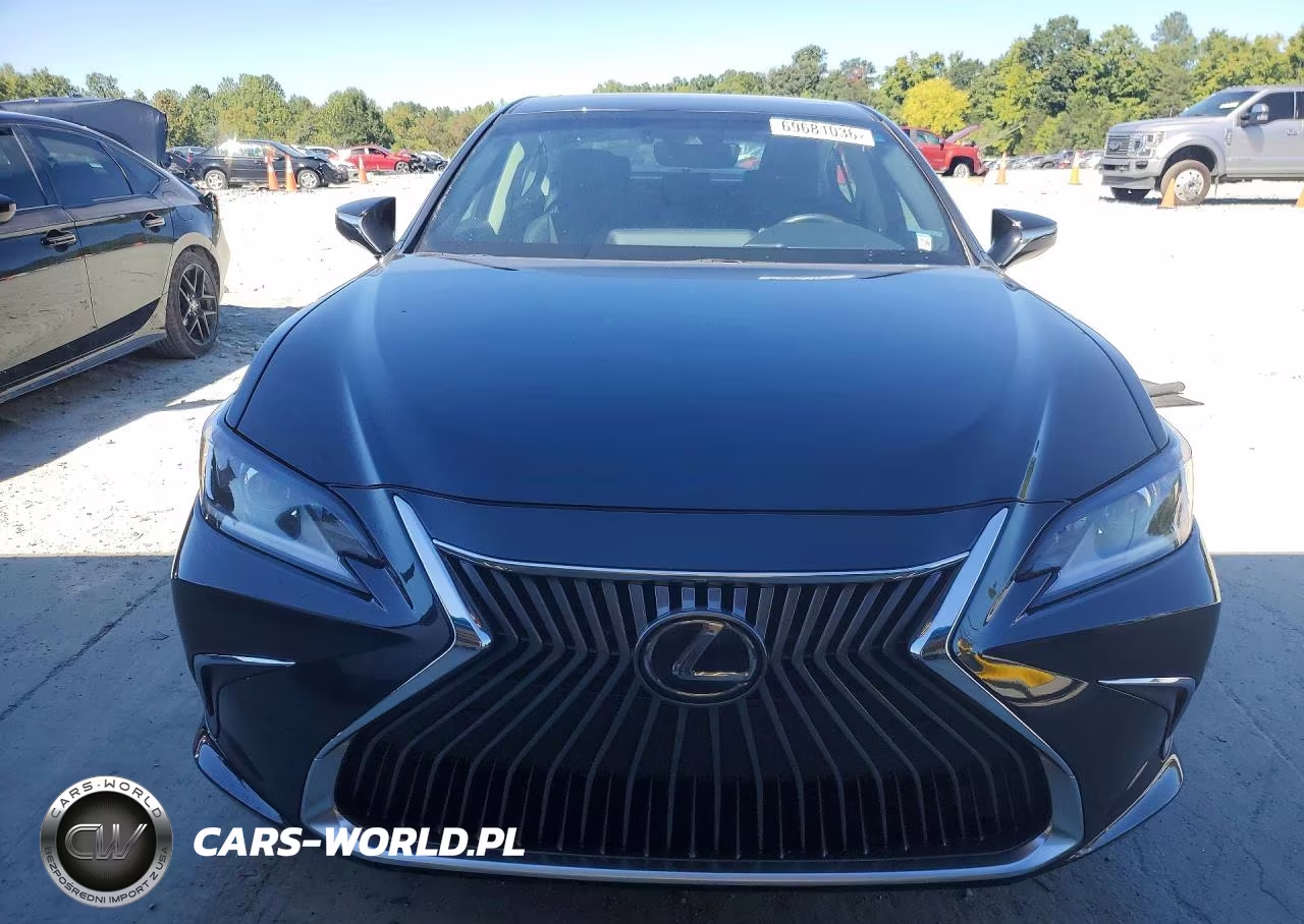 2020 Lexus Es 350 VIN:58ADZ1B11LU071891 - 5