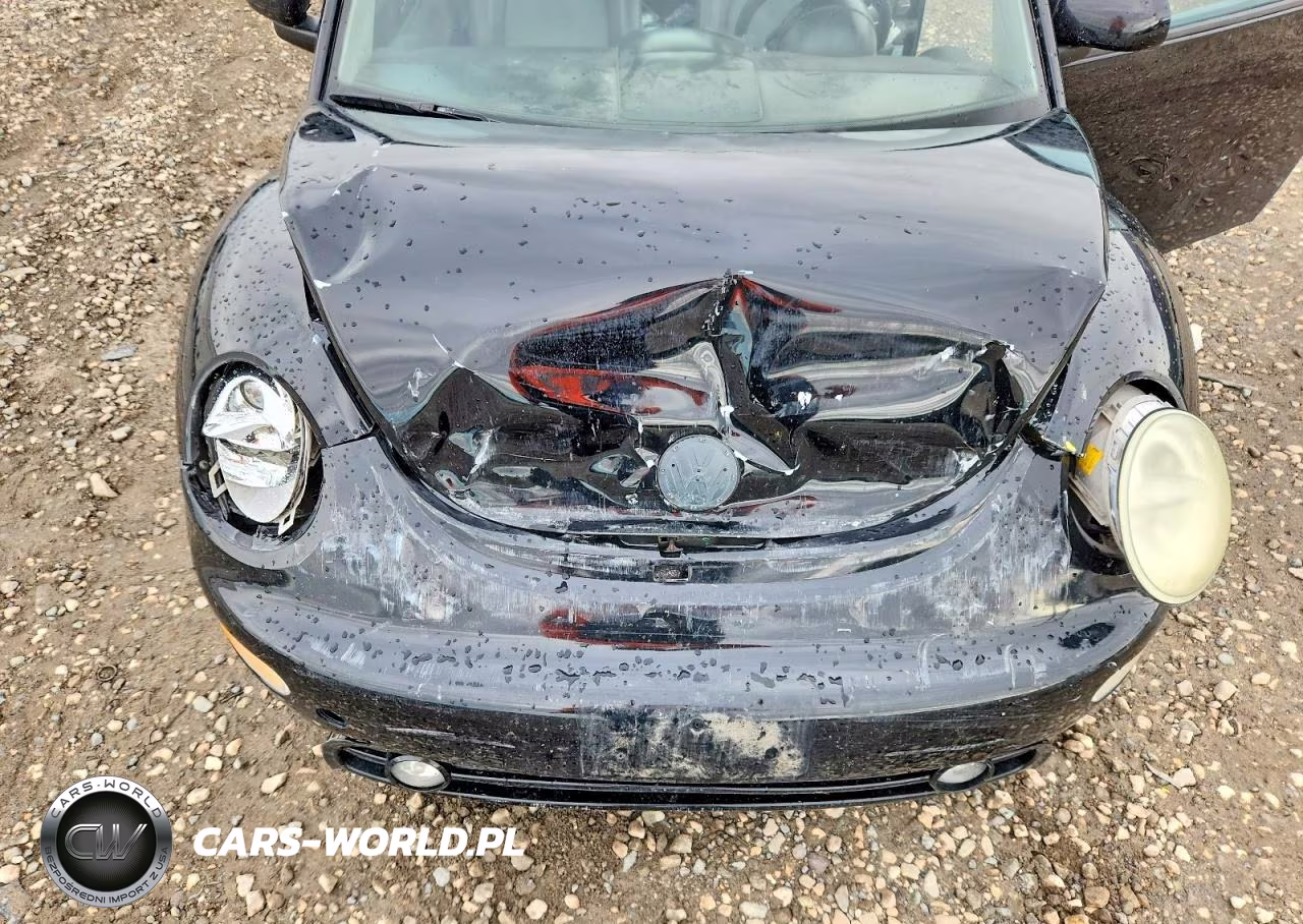 2000 Volkswagen New Beetle Glx VIN:3VWDD21C5YM493111 - 11