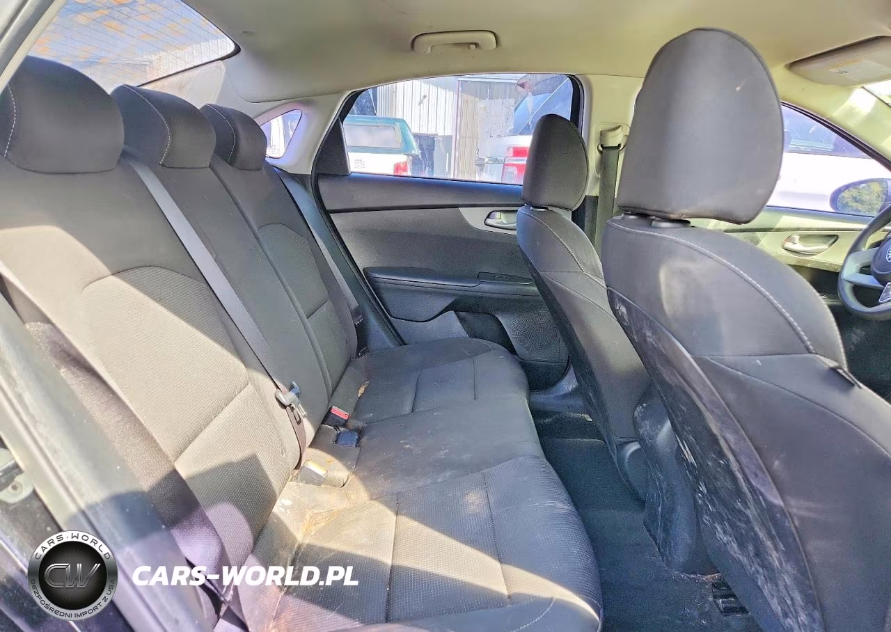2019 Kia Forte Lxs VIN:3KPF24AD9KE102503 - 10