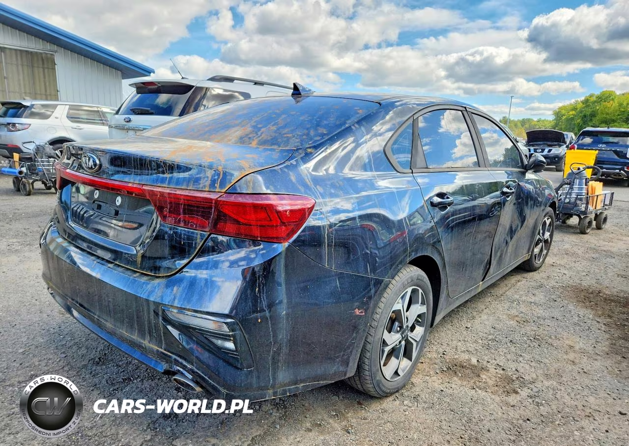2019 Kia Forte Lxs VIN:3KPF24AD9KE102503 - 3