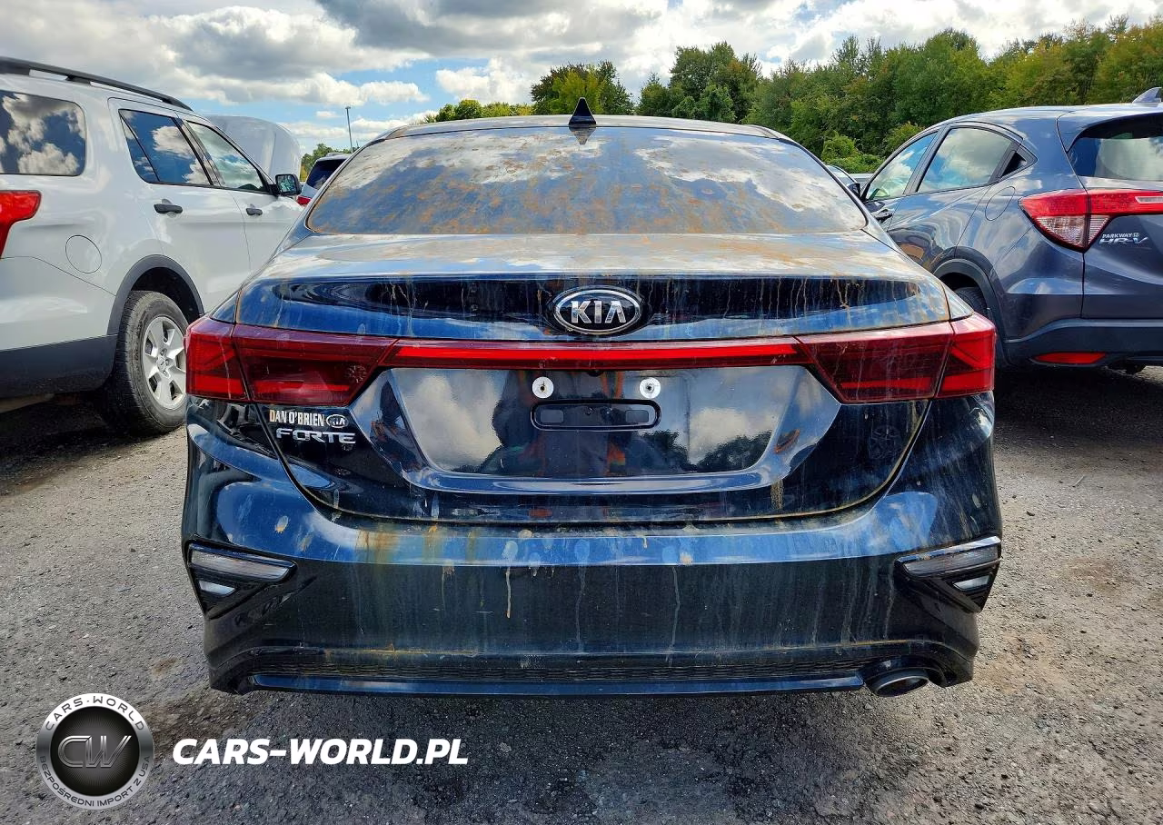 2019 Kia Forte Lxs VIN:3KPF24AD9KE102503 - 6