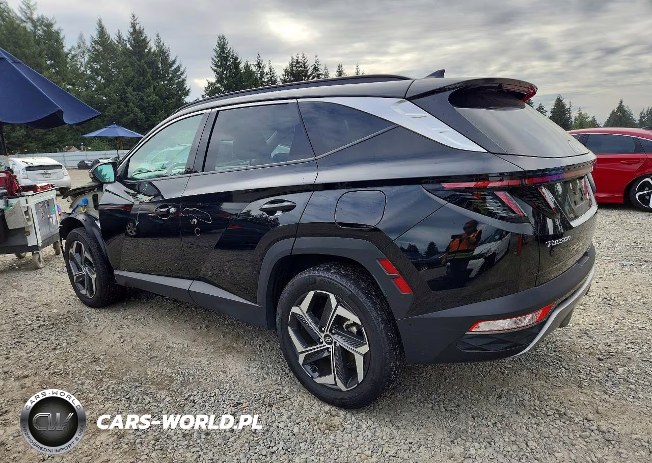 2023 Hyundai Tucson Limited VIN:KM8JECA12PU099417 - 2