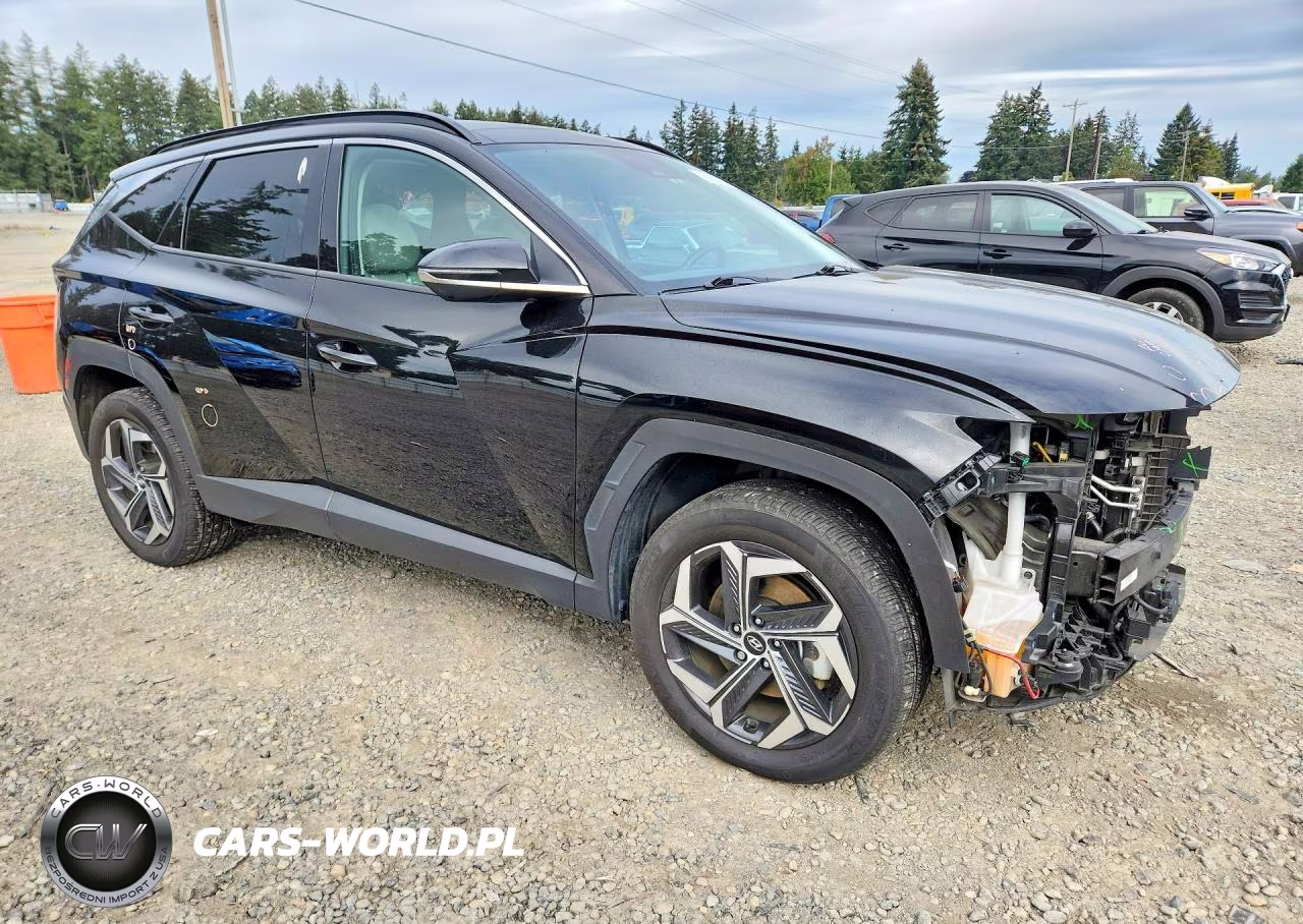 2023 Hyundai Tucson Limited VIN:KM8JECA12PU099417 - 4