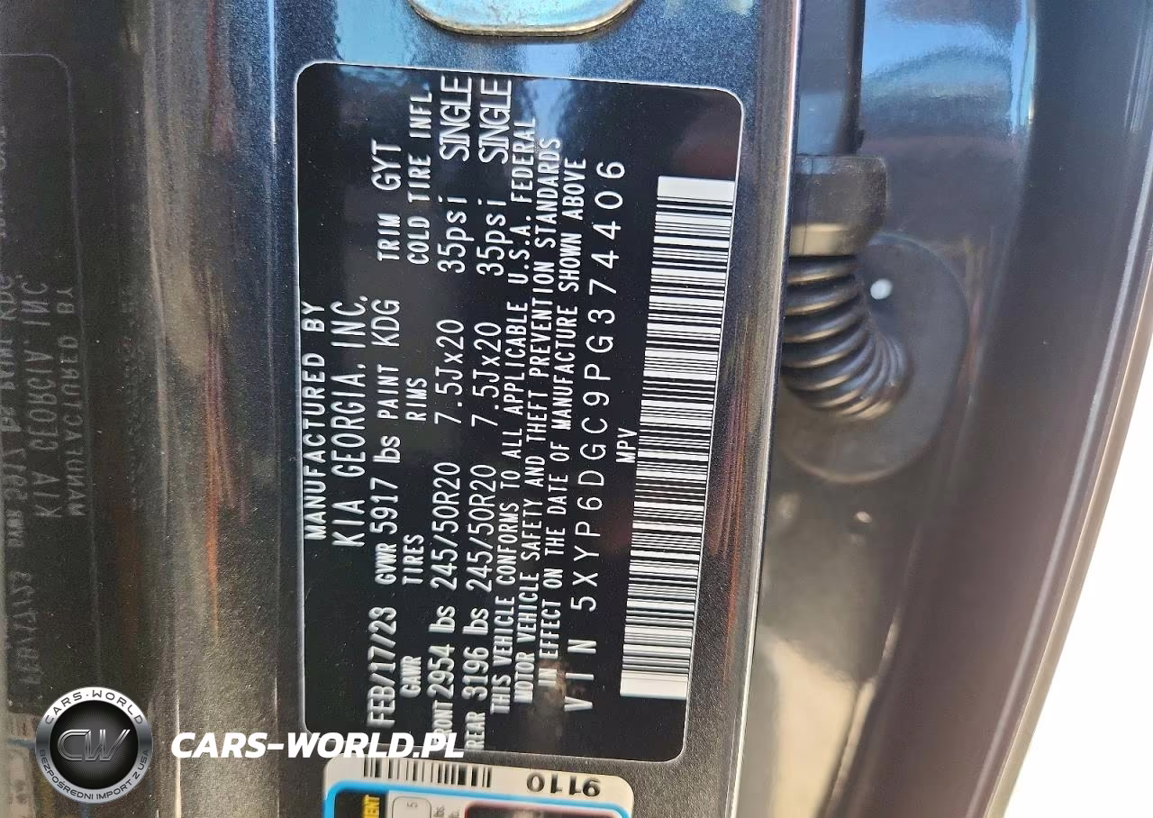 2023 Kia Telluride S VIN:5XYP6DGC9PG374406 - 9