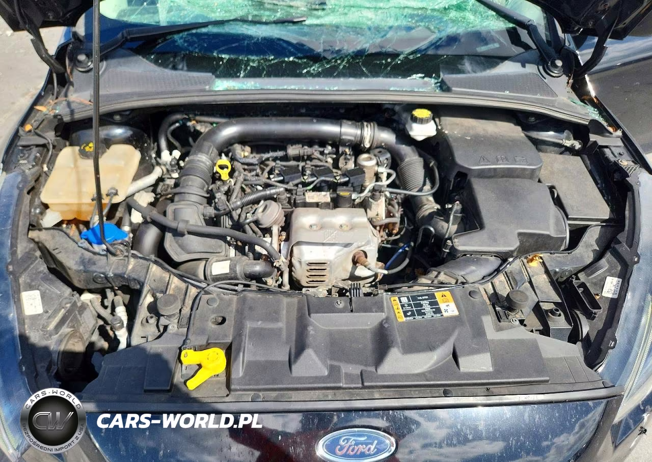 2018 Ford Focus Se VIN:1FADP3FE1JL309919 - 11