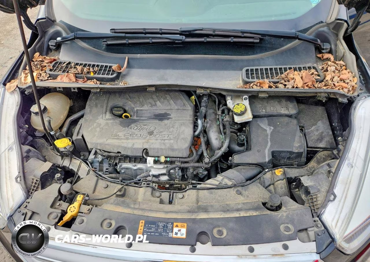 2018 Ford Escape Se VIN:1FMCU9GD0JUB76082 - 12
