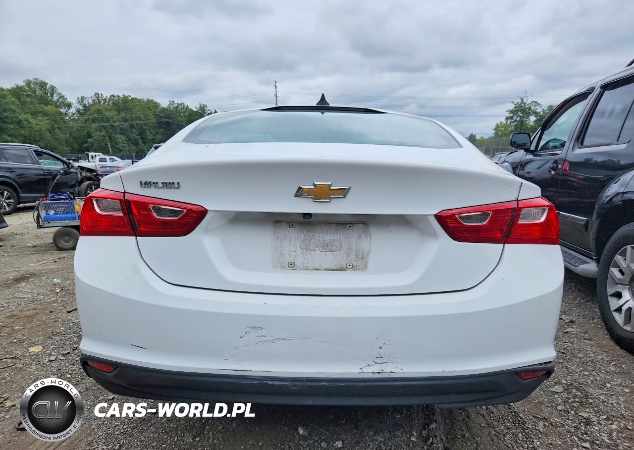 2020 Chevrolet Malibu Ls VIN:1G1ZB5ST7LF019077 - 6