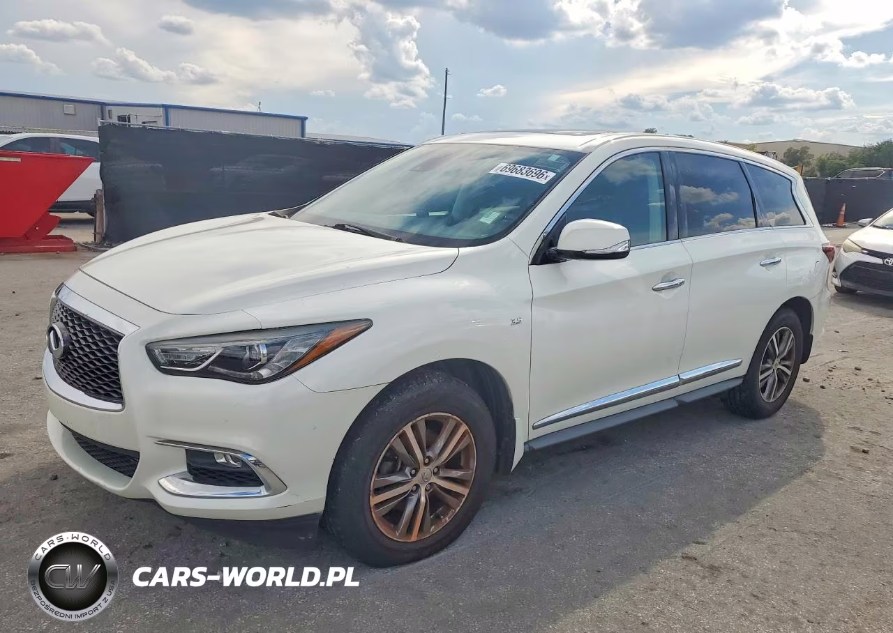 2020 Infiniti Qx60 Pure VIN:5N1DL0MN8LC512960 - 1