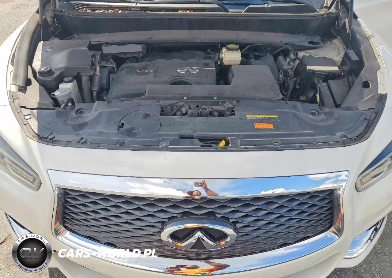 2020 Infiniti Qx60 Pure VIN:5N1DL0MN8LC512960 - 12