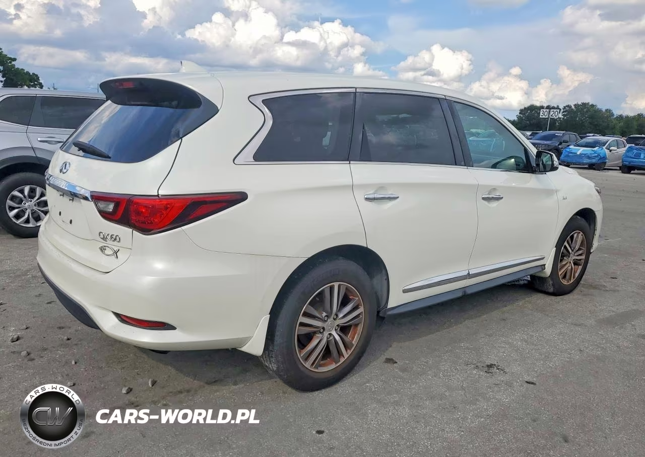 2020 Infiniti Qx60 Pure VIN:5N1DL0MN8LC512960 - 3