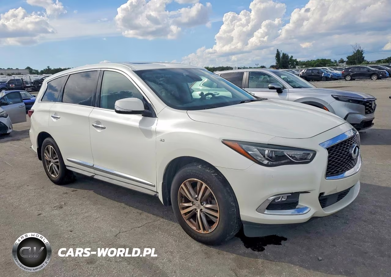 2020 Infiniti Qx60 Pure VIN:5N1DL0MN8LC512960 - 4