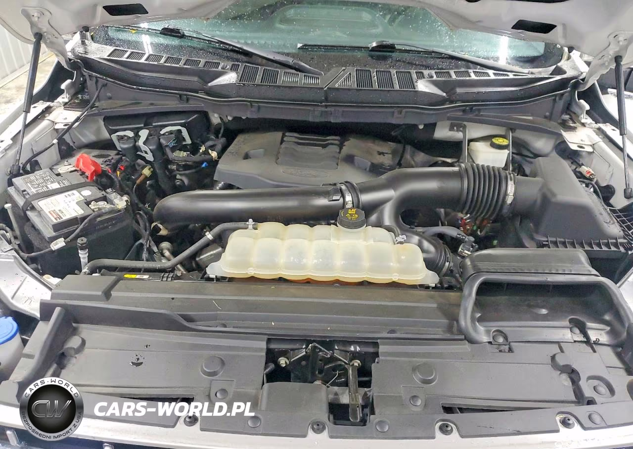 2021 Ford F150 Supercrew VIN:1FTFW1E83MFC84854 - 11