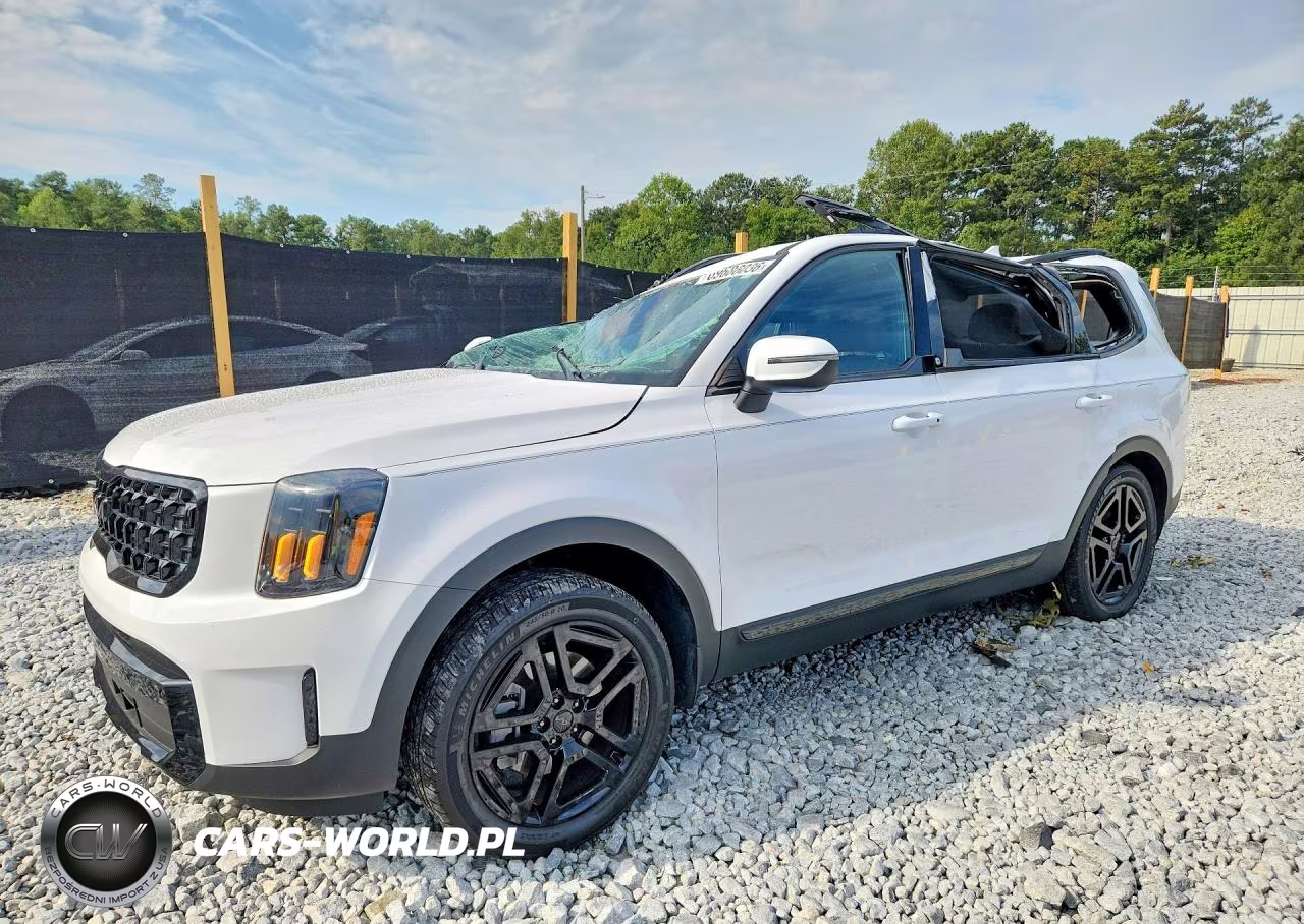 2025 Kia Telluride Ex X-Line VIN:5XYP3DGC2SG643329 - 1