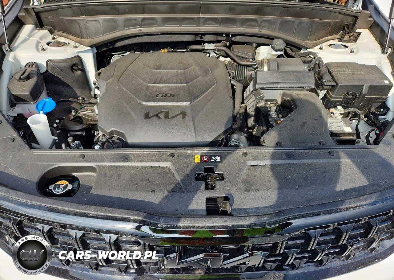 2025 Kia Telluride Ex X-Line VIN:5XYP3DGC2SG643329 - 12