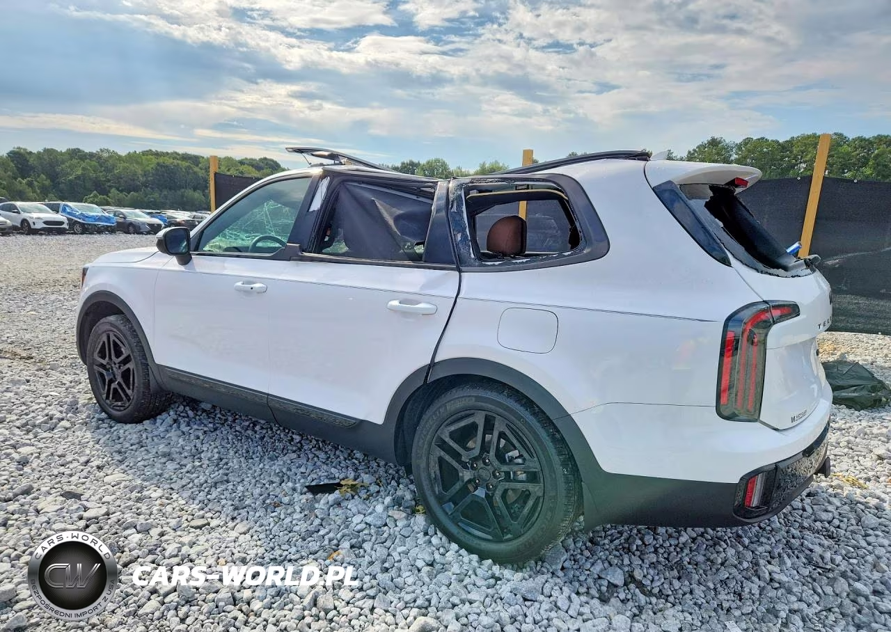 2025 Kia Telluride Ex X-Line VIN:5XYP3DGC2SG643329 - 2