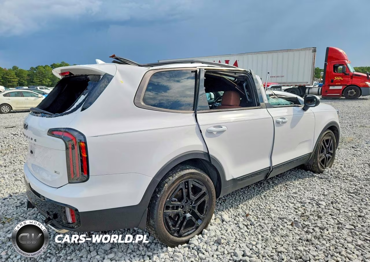 2025 Kia Telluride Ex X-Line VIN:5XYP3DGC2SG643329 - 3