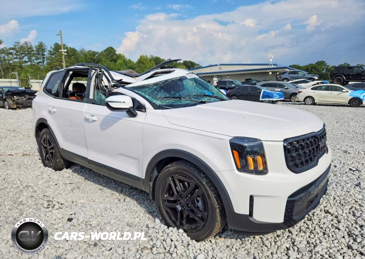 2025 Kia Telluride Ex X-Line VIN:5XYP3DGC2SG643329 - 4
