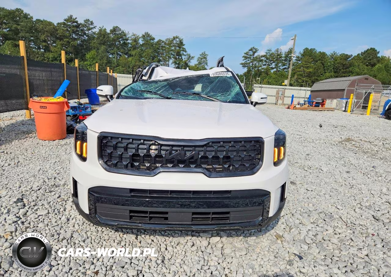 2025 Kia Telluride Ex X-Line VIN:5XYP3DGC2SG643329 - 5