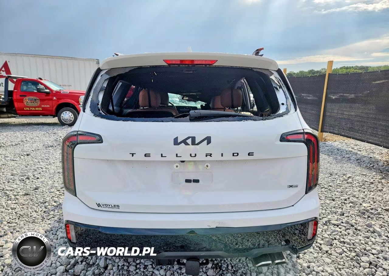 2025 Kia Telluride Ex X-Line VIN:5XYP3DGC2SG643329 - 6