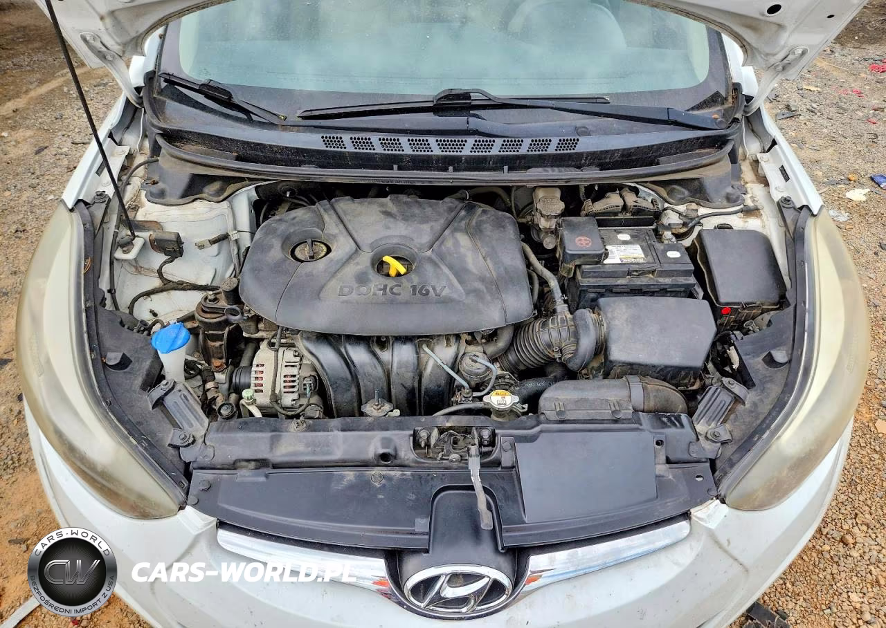 2016 Hyundai Elantra VIN:5NPDH4AE1GH673517 - 11