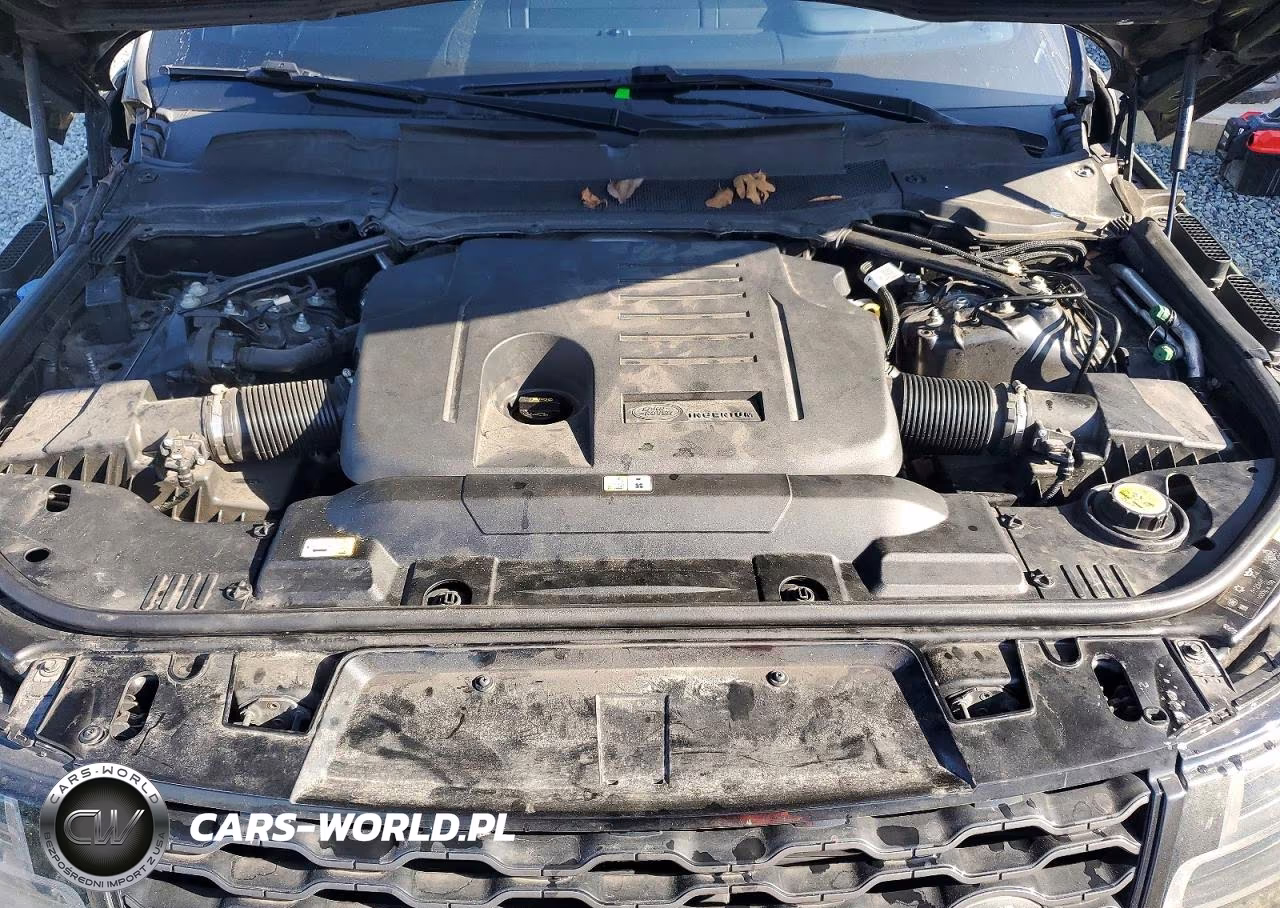 2019 Land Rover Range Rover Sport Hse VIN:SALWR2RU0KA875358 - 12