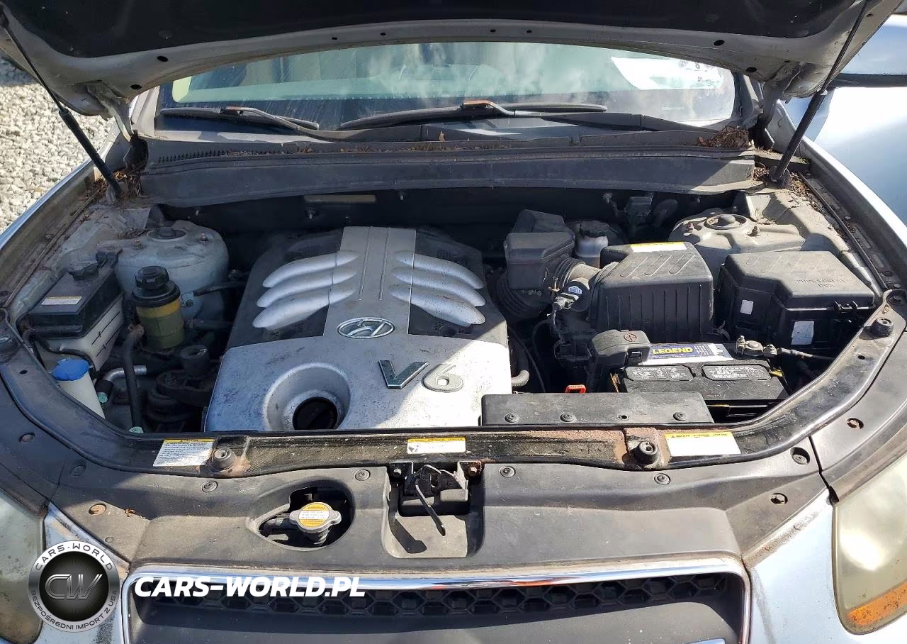 2007 Hyundai Santa Fe Se VIN:5NMSH13E37H053784 - 12