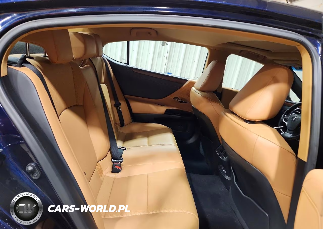 2022 Lexus Es 250 Base VIN:58AD11D14NU008551 - 10