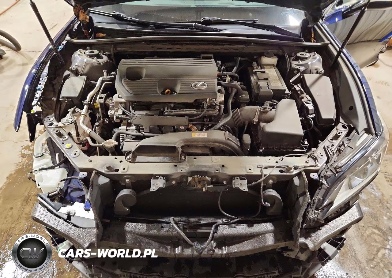 2022 Lexus Es 250 Base VIN:58AD11D14NU008551 - 11