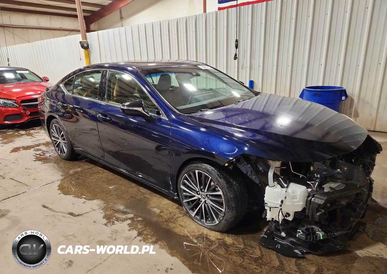 2022 Lexus Es 250 Base VIN:58AD11D14NU008551 - 4