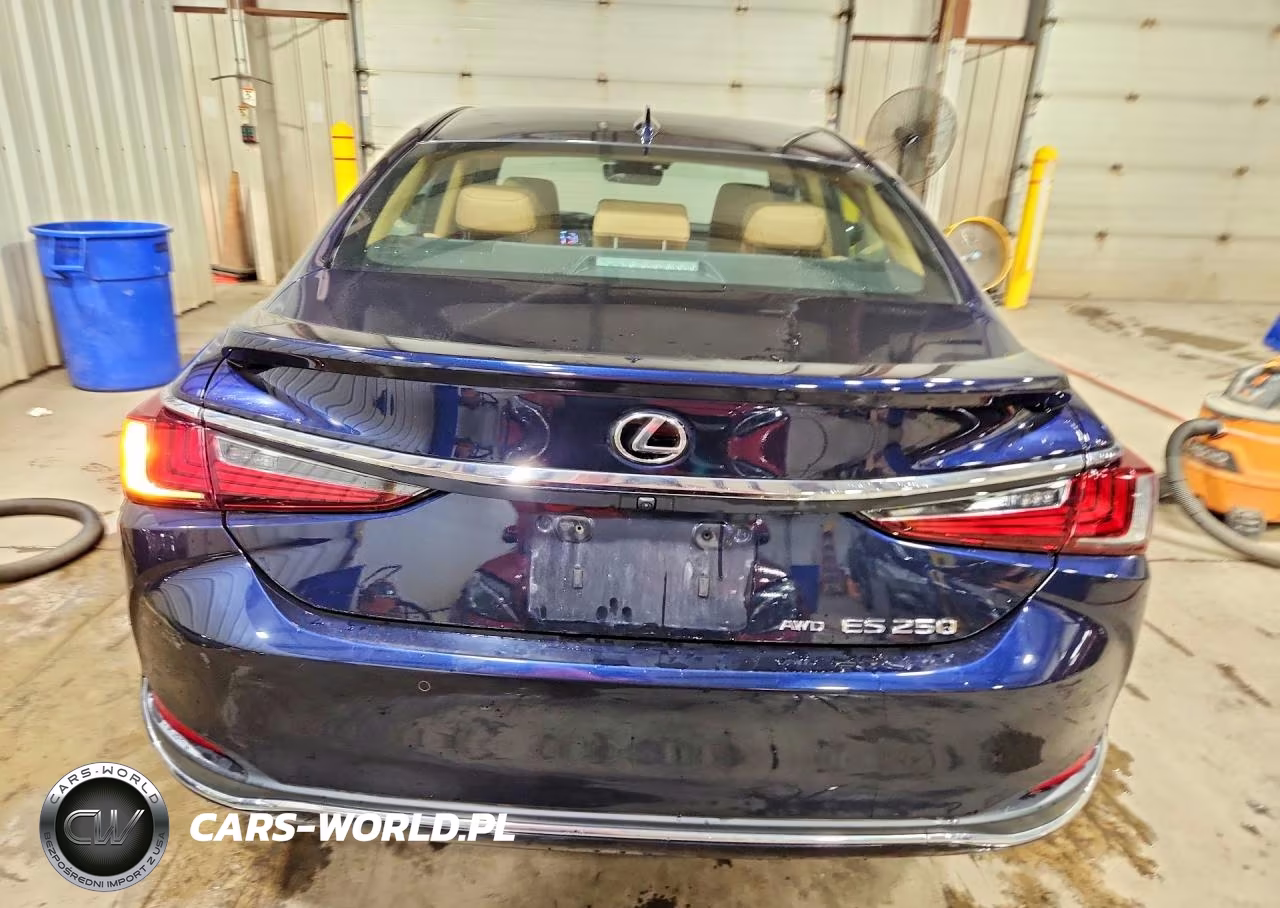 2022 Lexus Es 250 Base VIN:58AD11D14NU008551 - 6