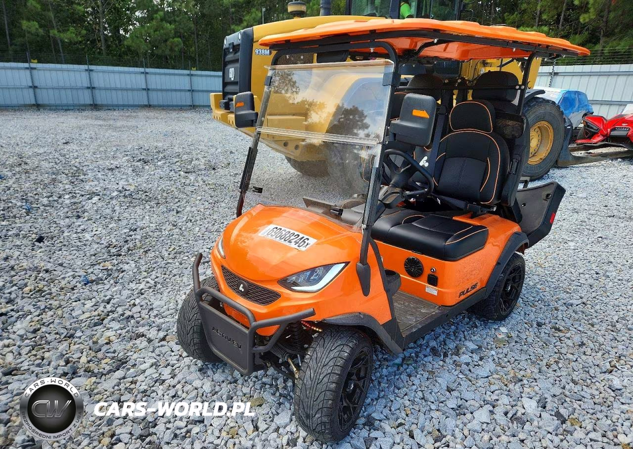 2024 Pulse Golf Cart VIN:7W8SA4214RL000313 - 2