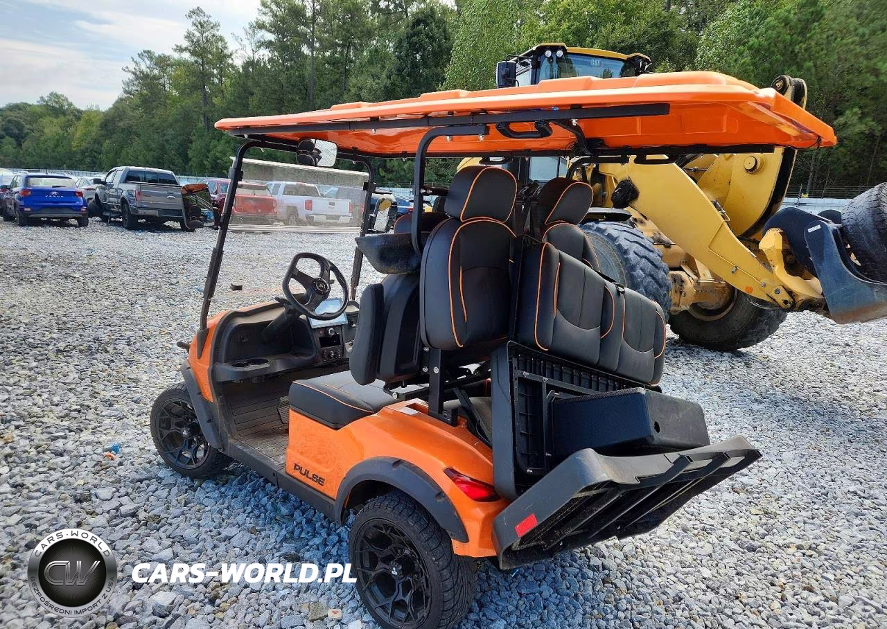 2024 Pulse Golf Cart VIN:7W8SA4214RL000313 - 3