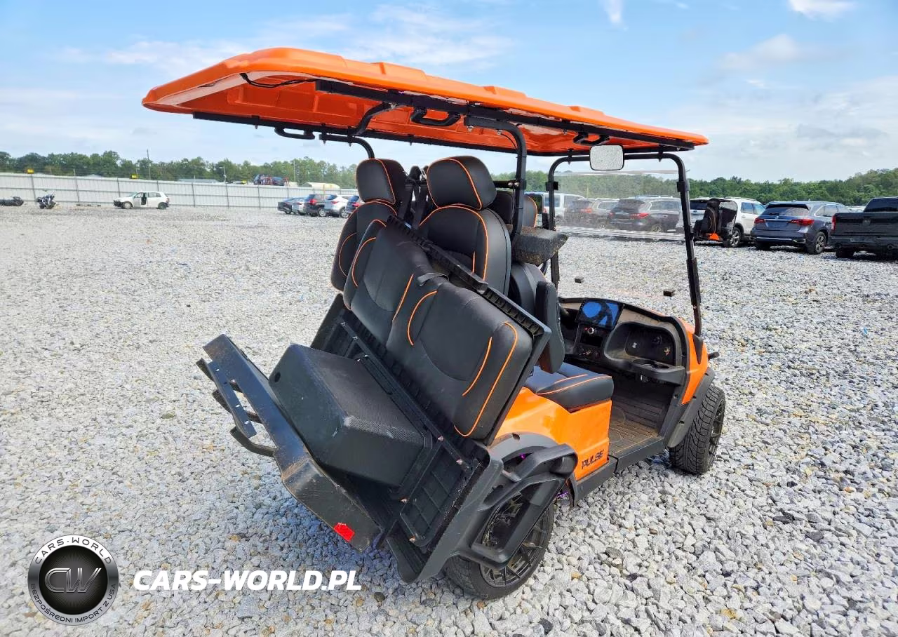 2024 Pulse Golf Cart VIN:7W8SA4214RL000313 - 4