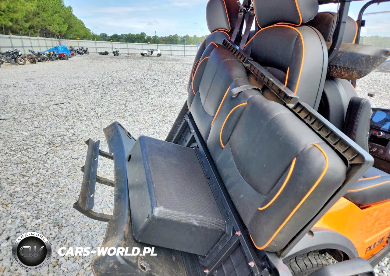 2024 Pulse Golf Cart VIN:7W8SA4214RL000313 - 6