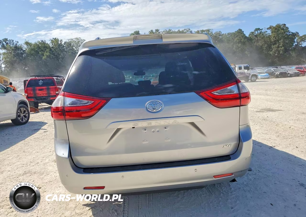 2018 Toyota Sienna Xle 8-Passenger VIN:5TDYZ3DC4JS904432 - 6