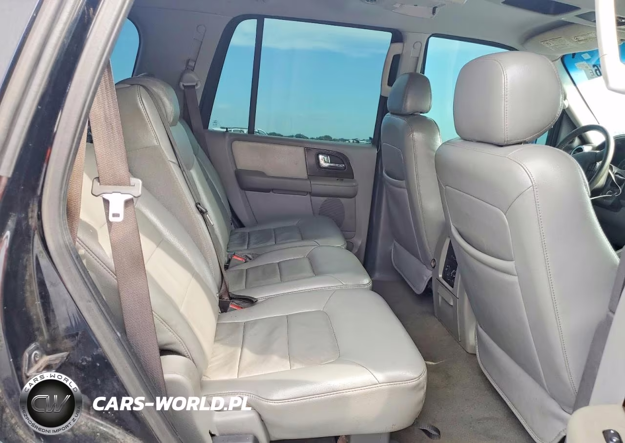 2006 Ford Expedition Limited VIN:1FMPU19566LA70595 - 10