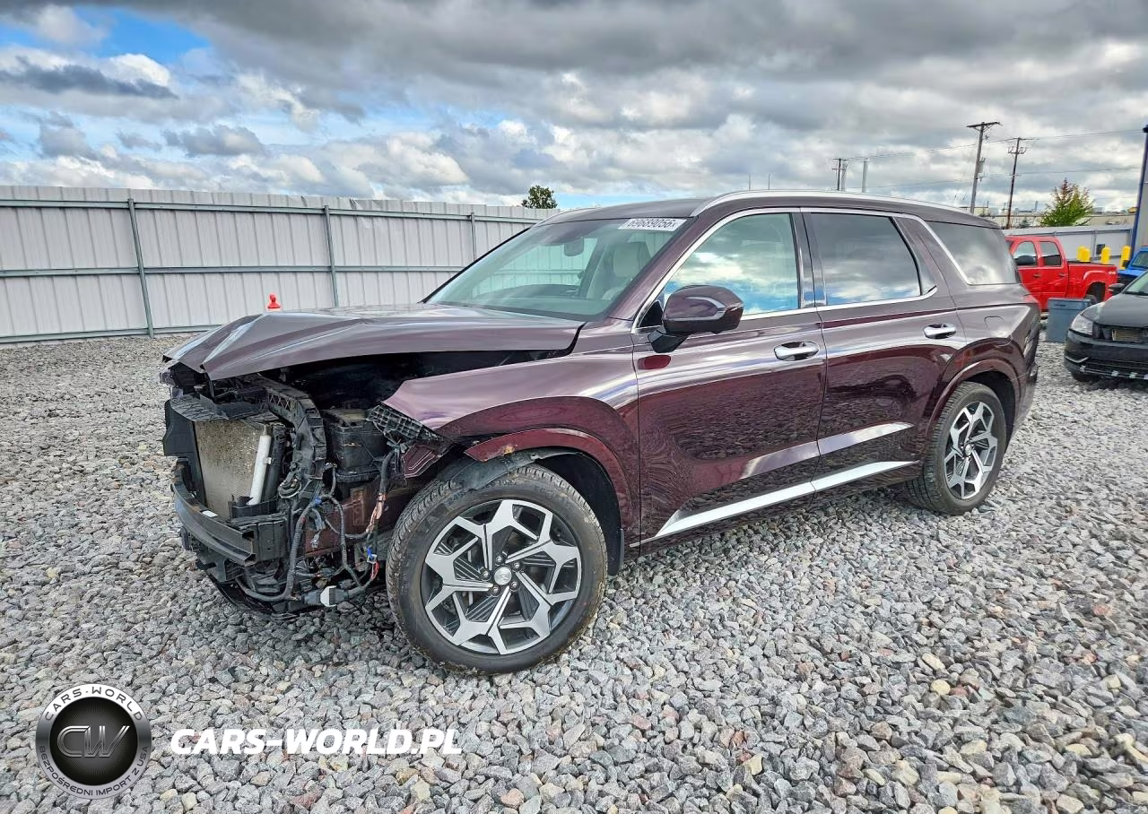 2021 Hyundai Palisade Limited VIN:KM8R5DHE4MU243563 - 1