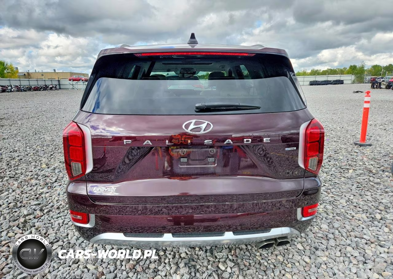 2021 Hyundai Palisade Limited VIN:KM8R5DHE4MU243563 - 6