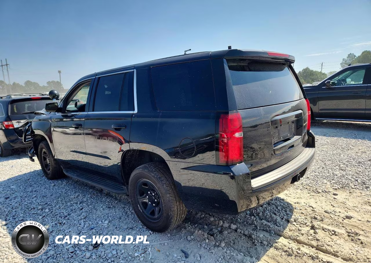 2019 Chevrolet Tahoe Police VIN:1GNLCDEC0KR293502 - 2