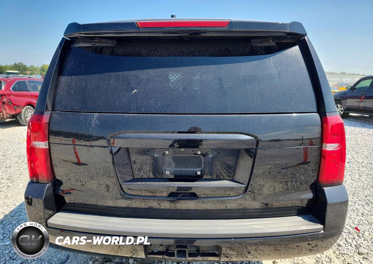 2019 Chevrolet Tahoe Police VIN:1GNLCDEC0KR293502 - 6