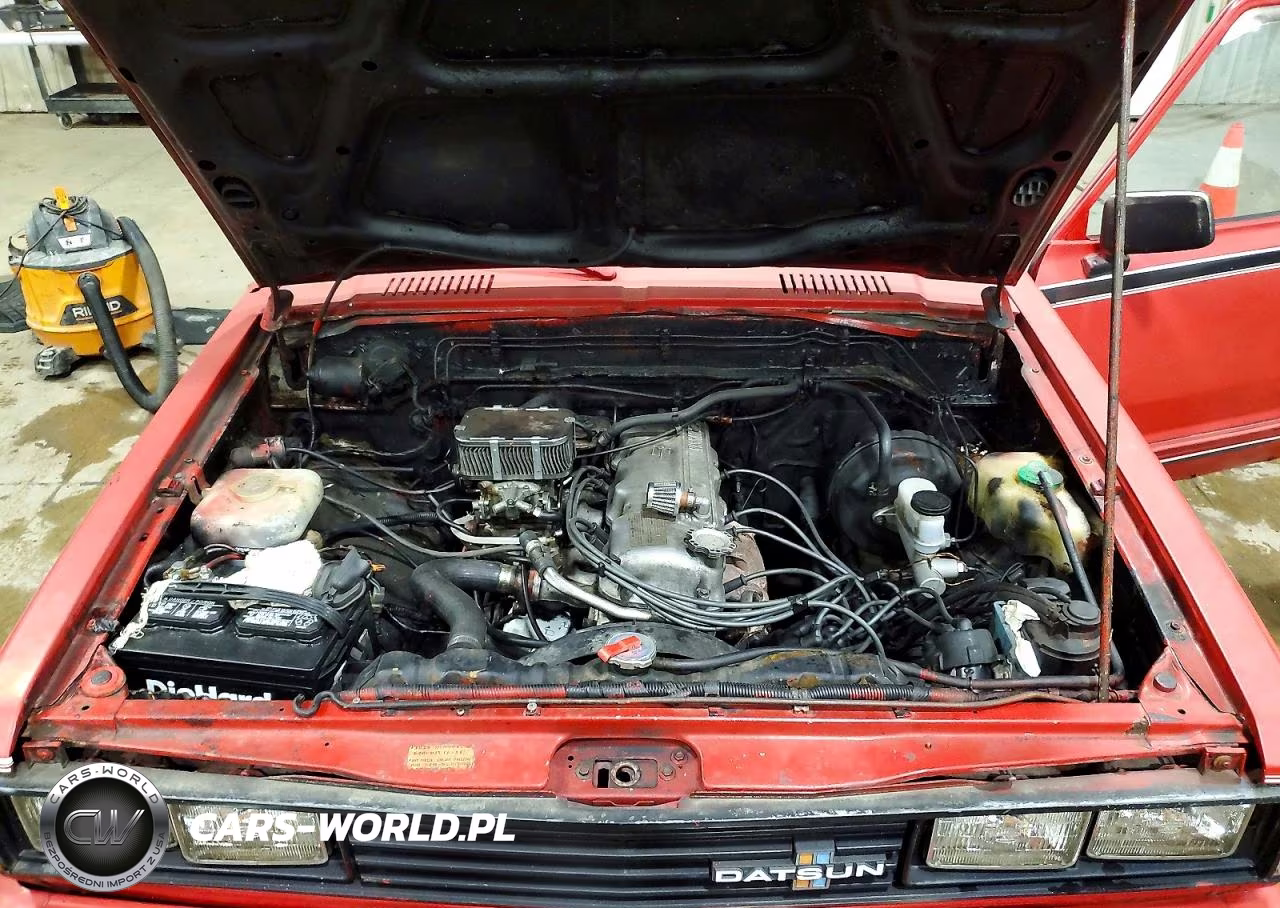 1981 Datsun 720 King Cab VIN:JN6MD06S6BW022404 - 11