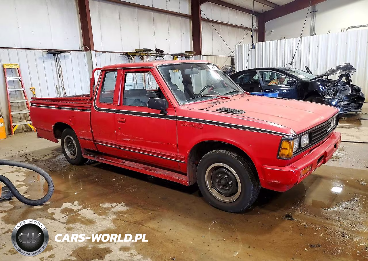 1981 Datsun 720 King Cab VIN:JN6MD06S6BW022404 - 4