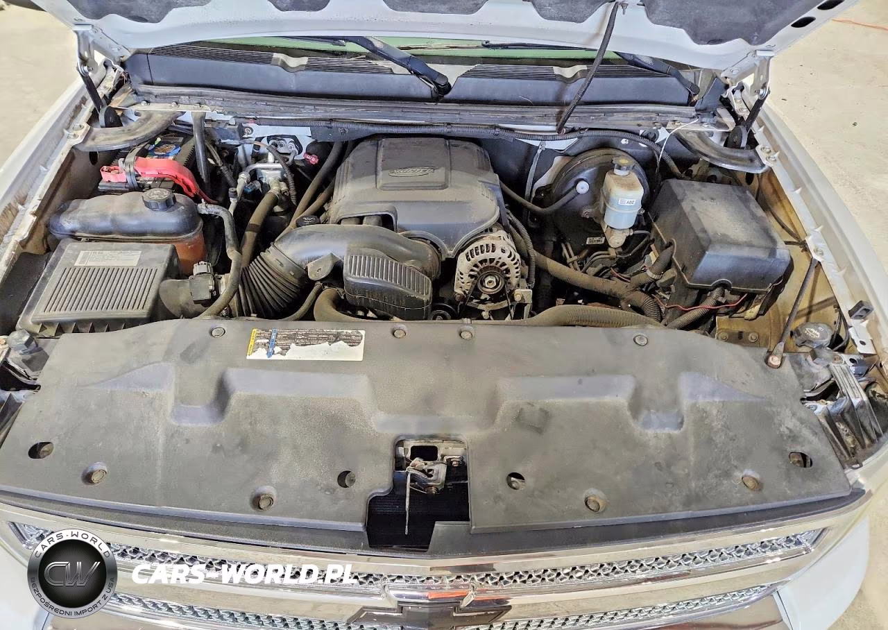 2009 Chevrolet Silverado K1500 VIN:1GCEK19C59Z252662 - 11