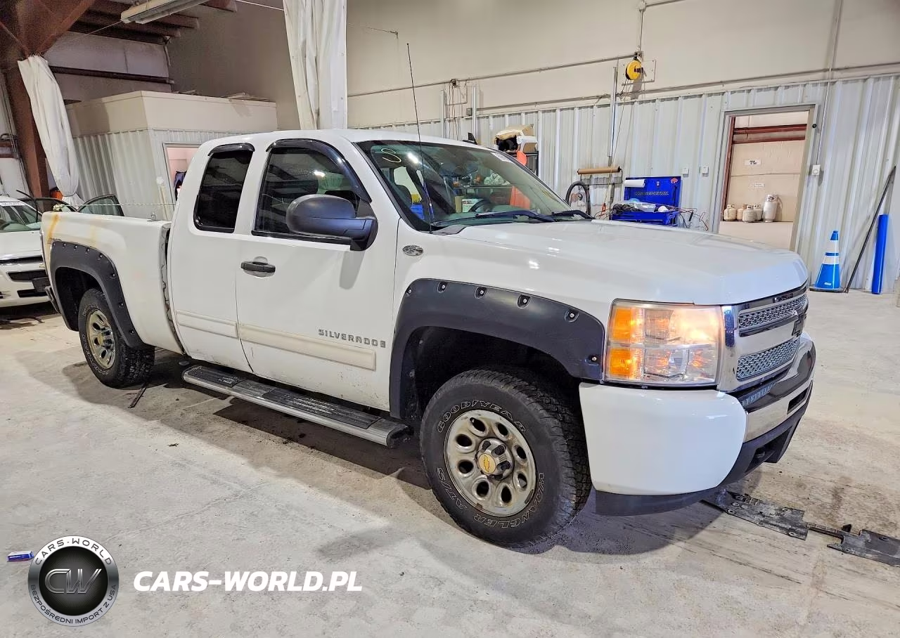 2009 Chevrolet Silverado K1500 VIN:1GCEK19C59Z252662 - 4
