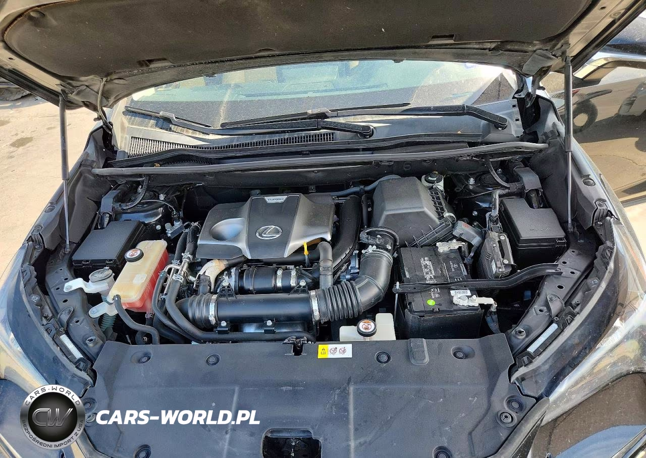 2018 Lexus Nx 300 Base VIN:JTJYARBZ5J2096677 - 12