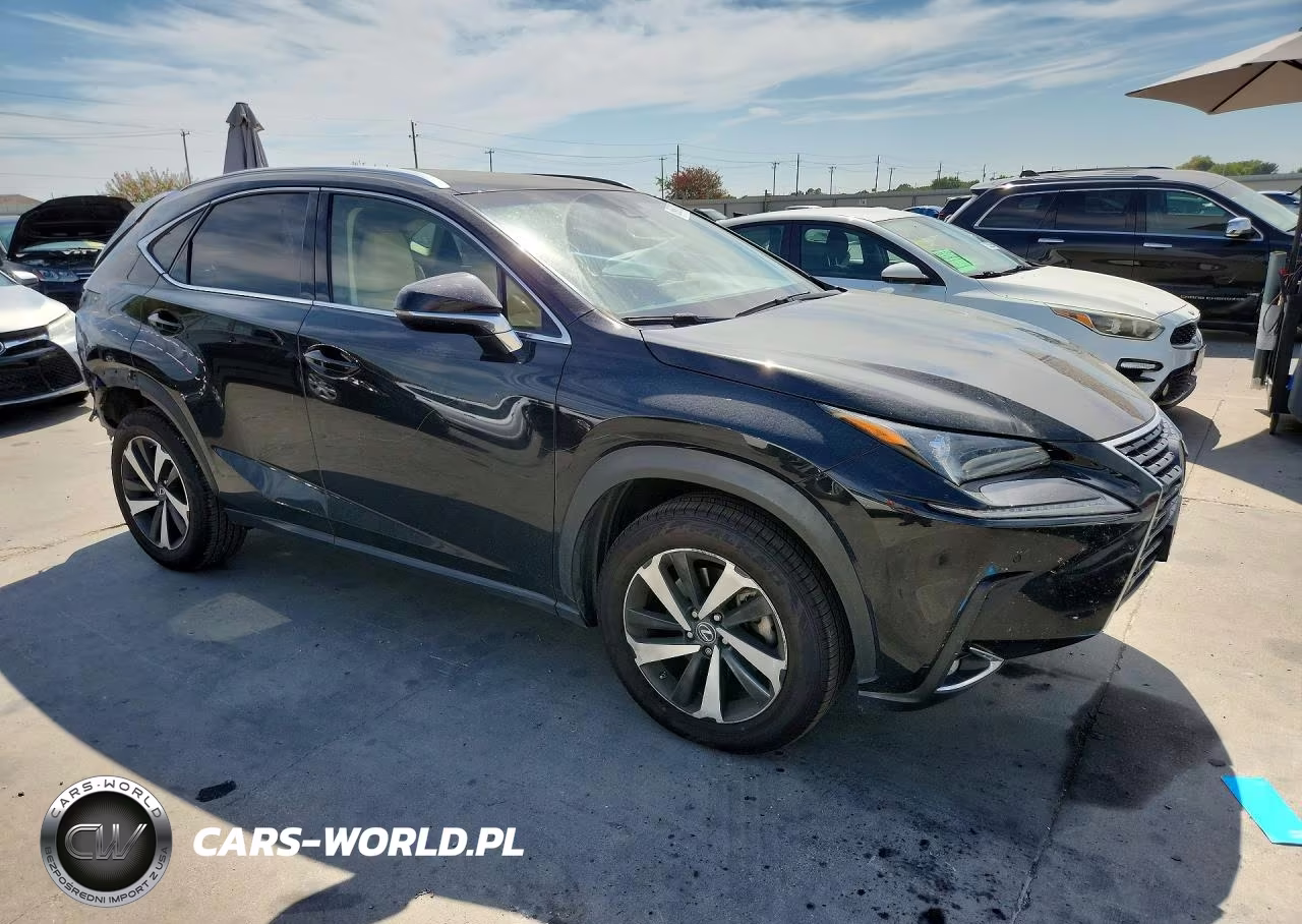 2018 Lexus Nx 300 Base VIN:JTJYARBZ5J2096677 - 4