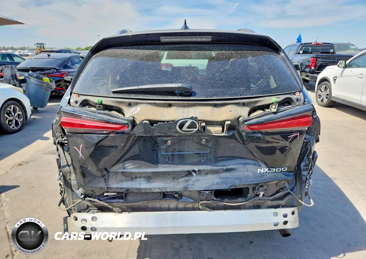 2018 Lexus Nx 300 Base VIN:JTJYARBZ5J2096677 - 6