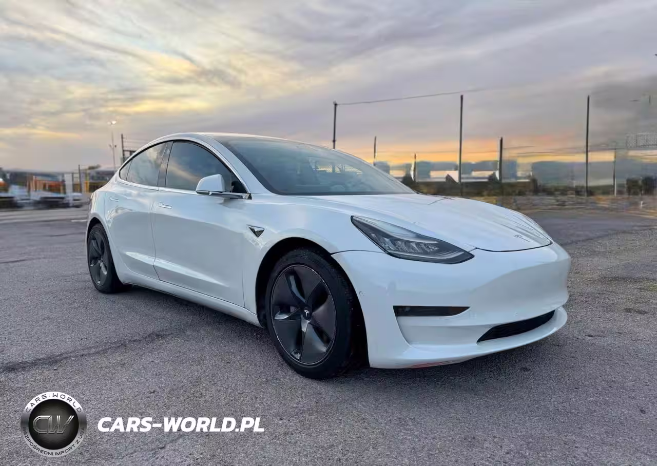 2019 Tesla Model 3
