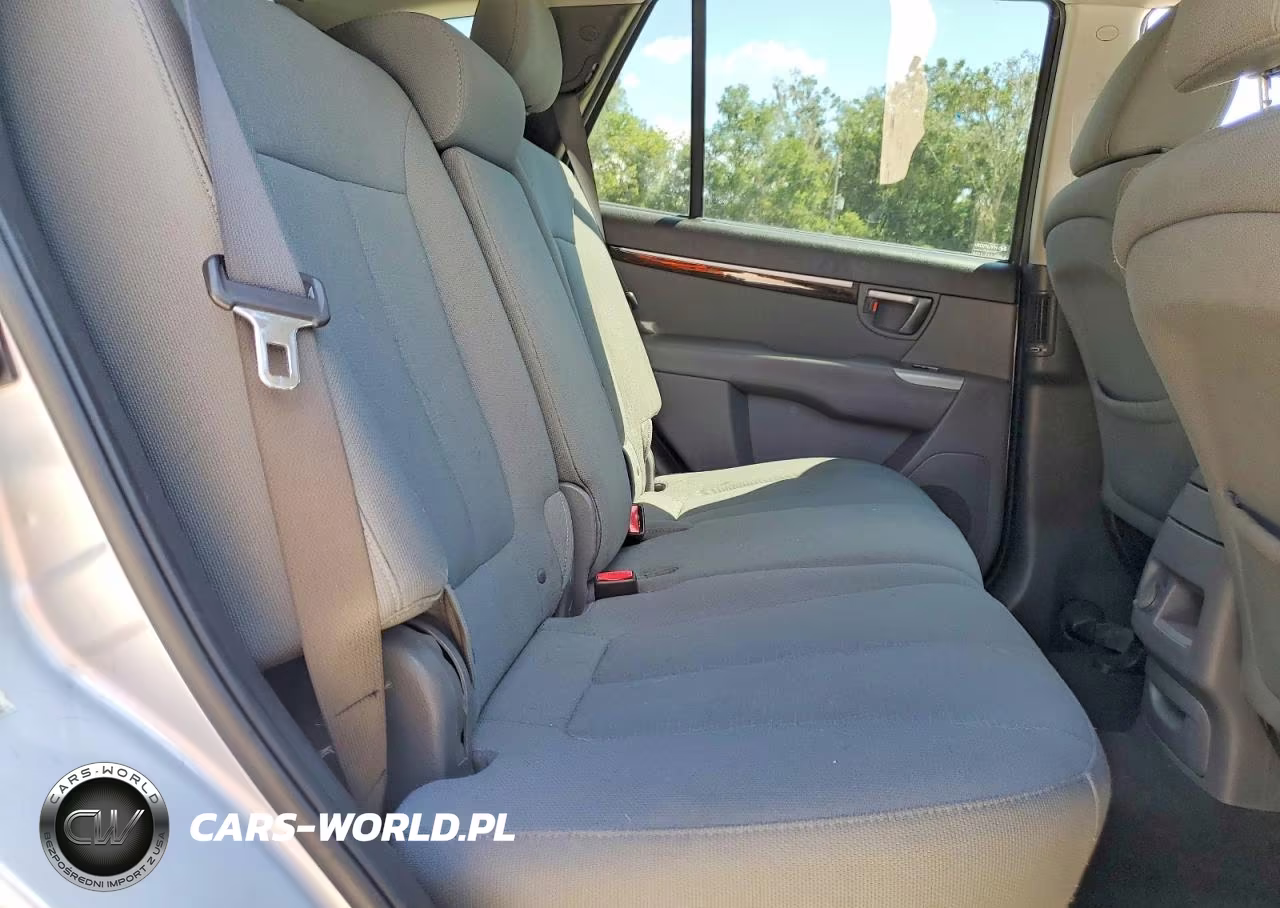 2010 Hyundai Santa Fe Gls VIN:5NMSGDAB7AH368284 - 11