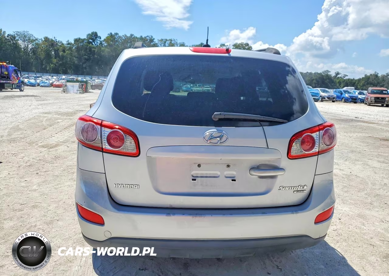2010 Hyundai Santa Fe Gls VIN:5NMSGDAB7AH368284 - 6
